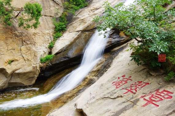 救援小袋熊
